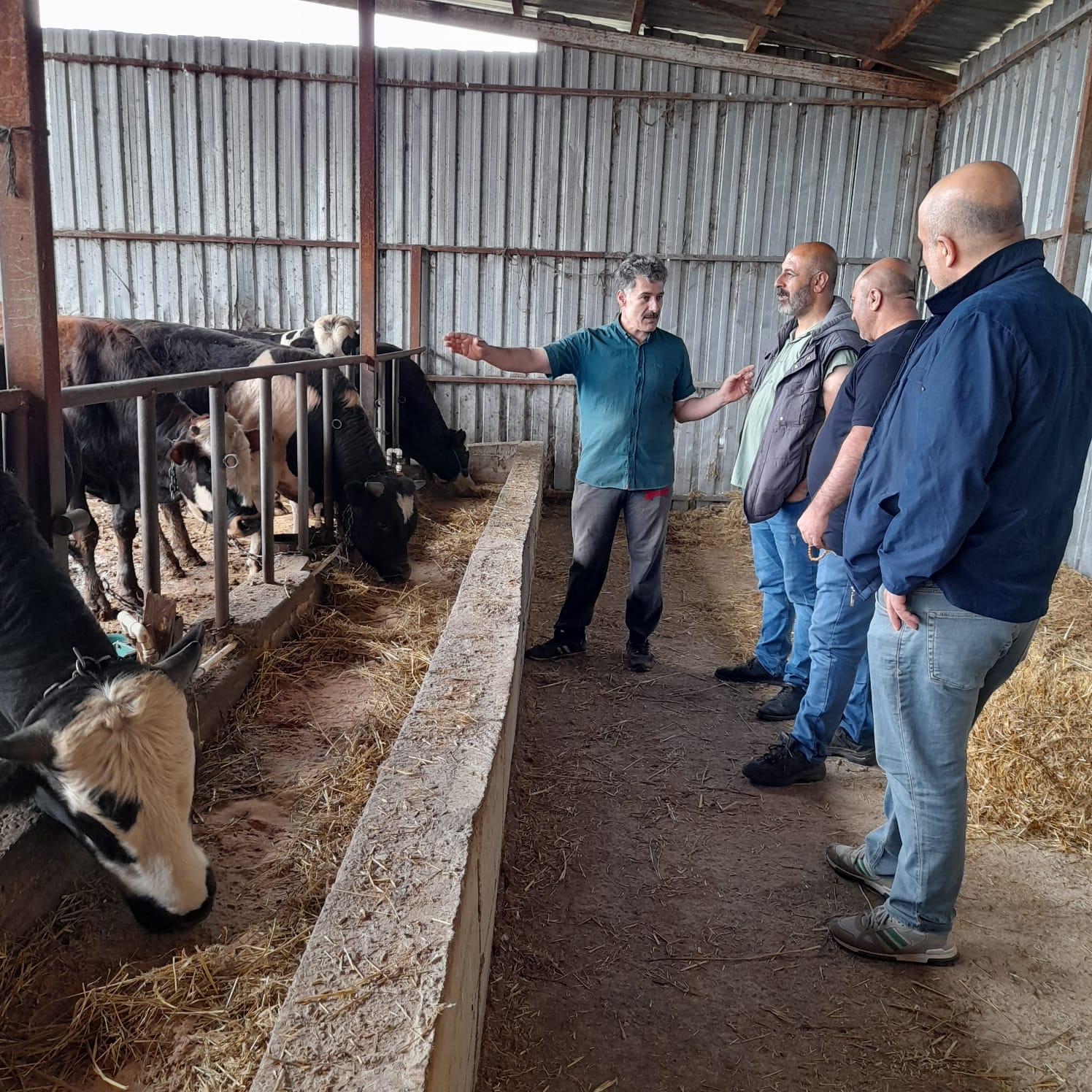 Resul Çiftlik Adaklık ve Kurbanlık